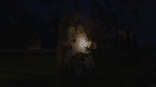 Camp Belvidere (2014)