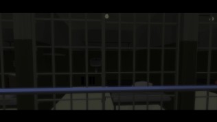 Female officer meets a shemale in jail