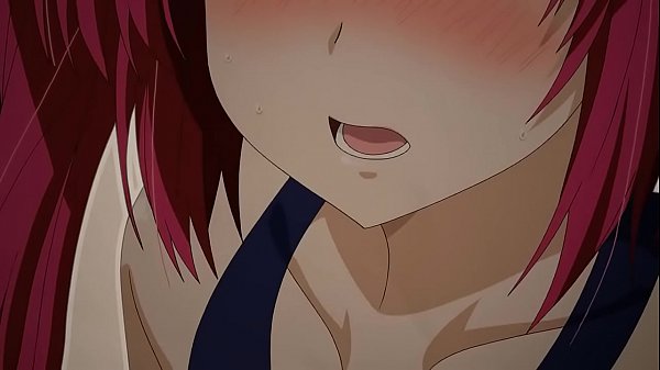 AMV – ZEST – Karton