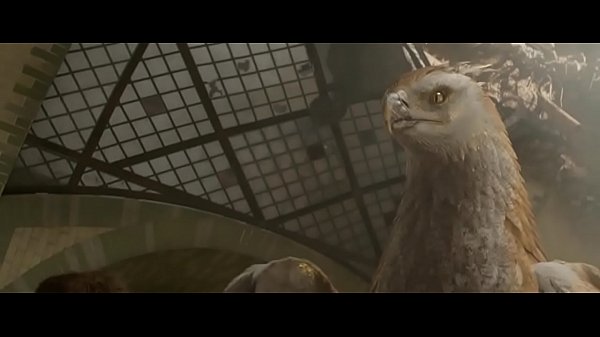 Animais Fantásticos e Onde Habitam