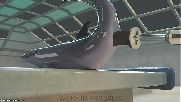 Dolphin yiff – tasuric