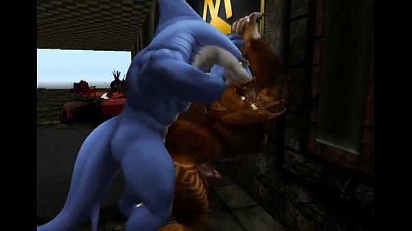 Quick play with shark-2