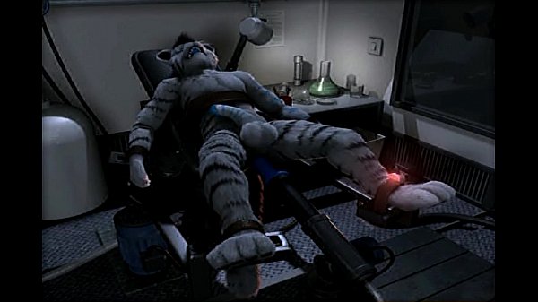 Tiger Experiment – H0rs3