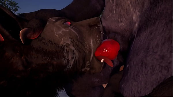 Wild Life – Beach Love (Sound Version) [GAY/FURRY/CUM]