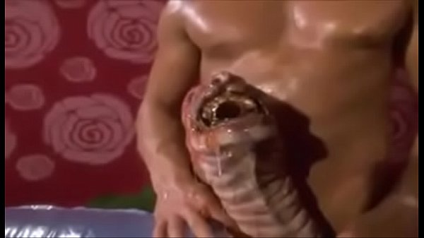 Monster Penis WTF