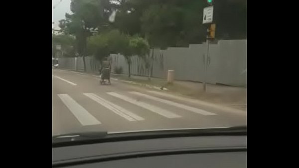 Carrinho de supermercado fortnite