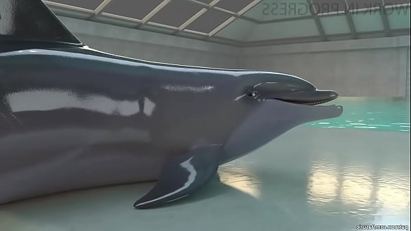 Dolphin Yiff #2 -tasuric