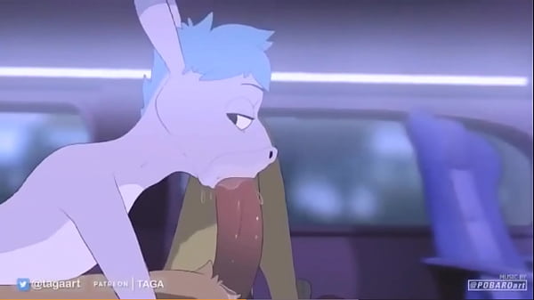 Furry Porn In REVERSE – Backwards Animation 1